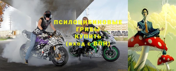СК Вязники