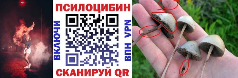 MEGA зеркало  Десногорск  Галлюциногенные грибы мицелий 